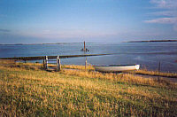 Wasser (analog)